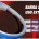 FITA DE LED DRL FLEXIVEL CINOY